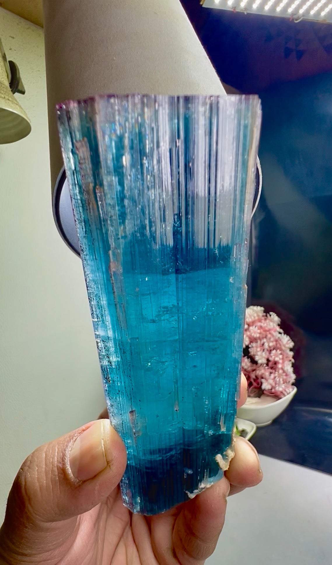 Pink Cap Indicolite Tourmaline crystal from Paprok Afghanistan , 381 gram