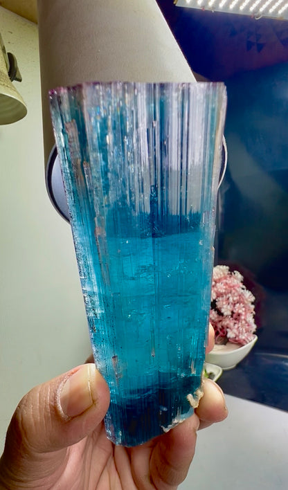Pink Cap Indicolite Tourmaline crystal from Paprok Afghanistan , 381 gram