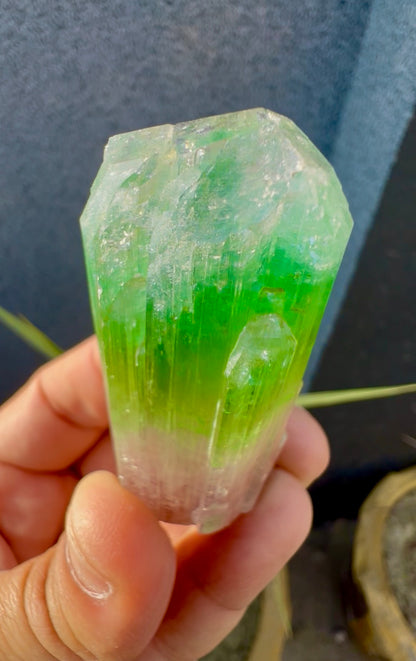 Multicolor Tourmaline Crystal from Paprok  - 76 gram