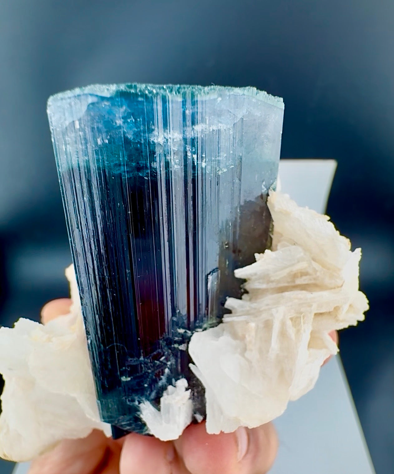 Blue Cap Tourmaline with Cleavlandite Albite from Afghanistan, 310 gran