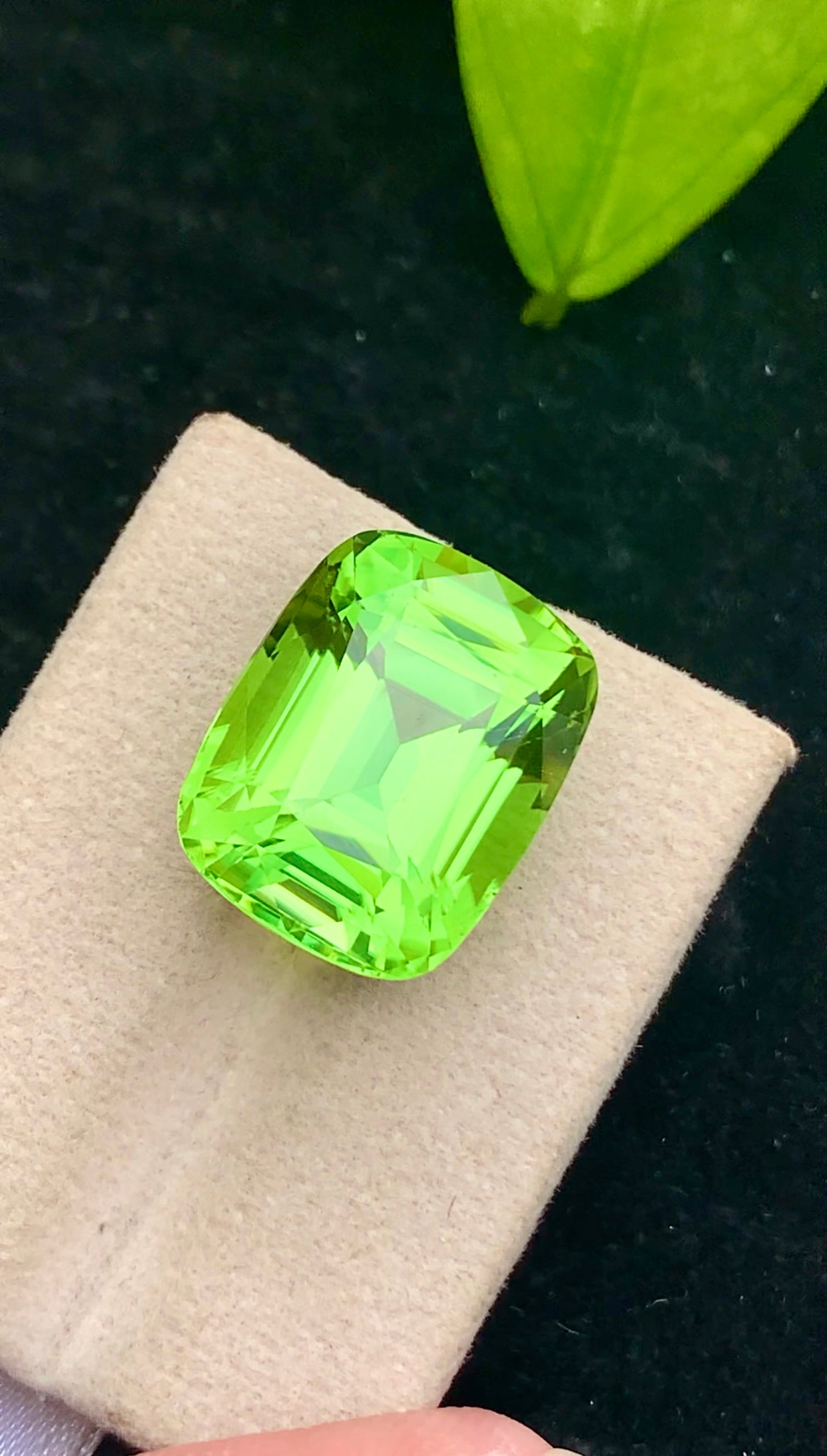 Natural Green Peridot 26.25 Ct Cushion Cut – Pakistan Peridot Gemstone