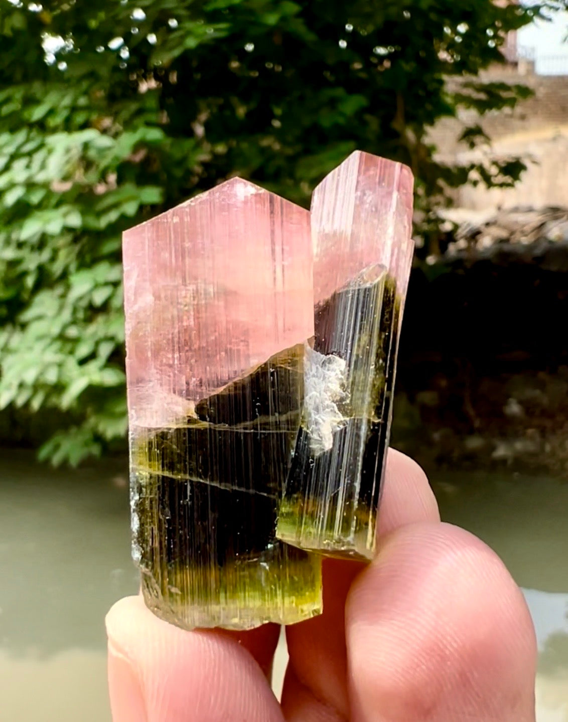Tourmaline Crystal from Astak Nala Pakistan, 30 gram