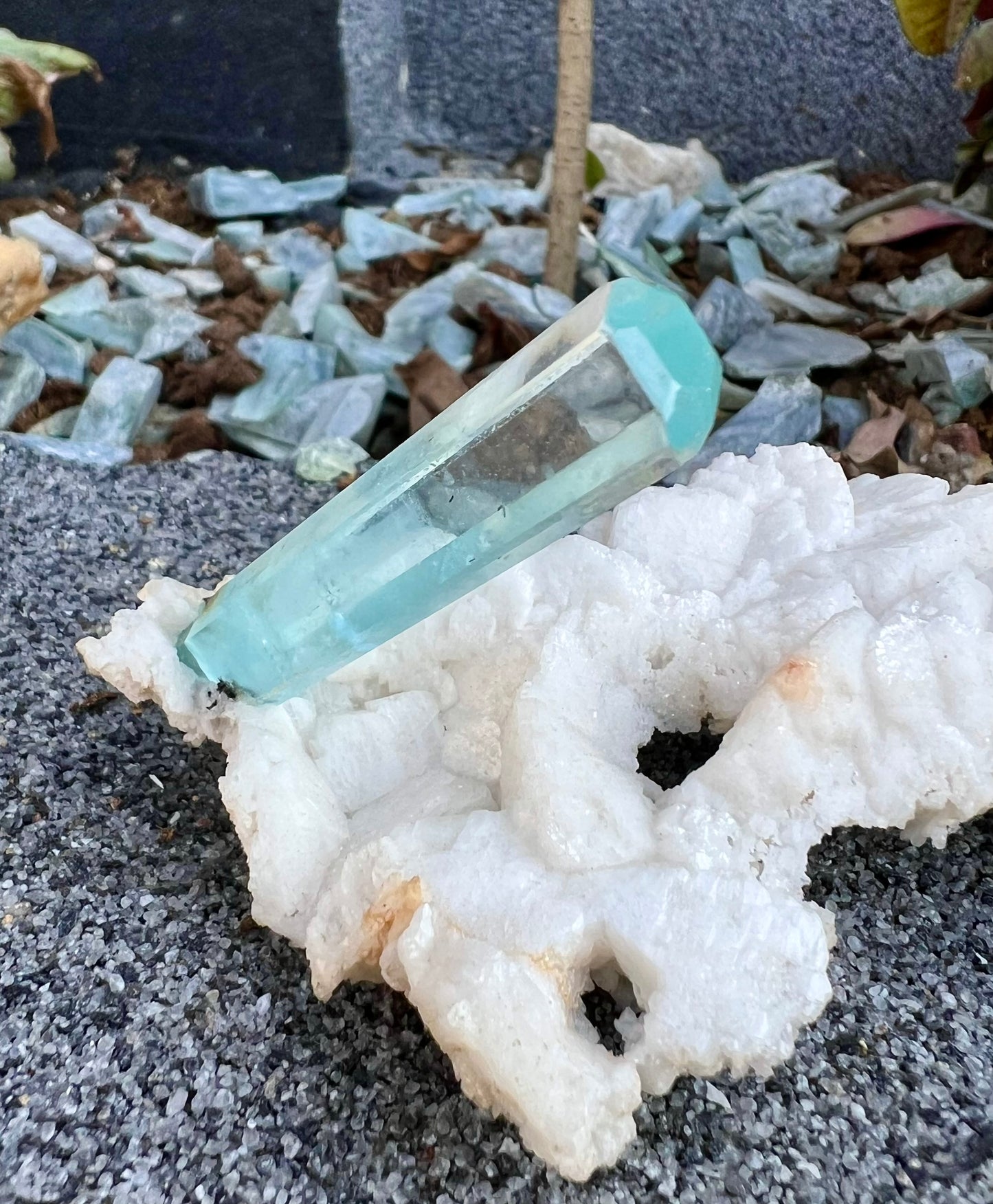 Aquamarine crystal on Albite from Pakistan, 107 gram