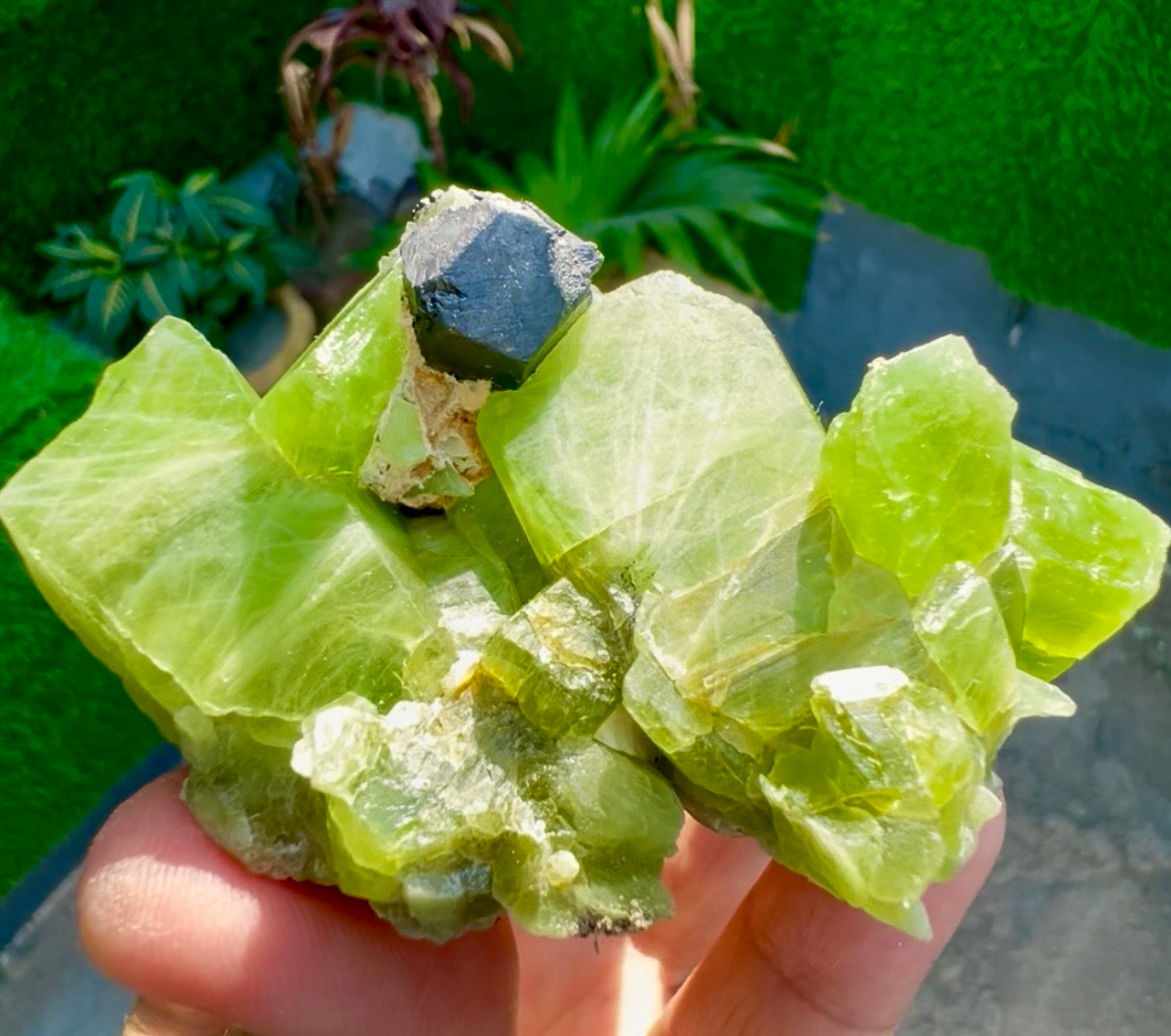 Peridot Crystals with Magnetite from Pakistan, 115 gram