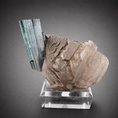Indicolite Tourmaline on Smoky Quartz – Blue Pink Tourmaline Crystal Specimen, Paprok Afghanistan, 200 gram