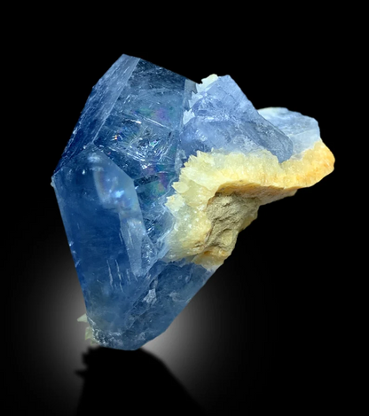 Celestine crystal dimensions 33 by 28 by 24 mm
Tabular celestine crystal back angle view
Deep blue color detail on celestine crystal
Raw celestine crystal on yellow calcite matrix