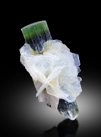 Closeup of prismatic tourmaline crystal green cap
Elongated tourmaline side view on cleavelandite albite