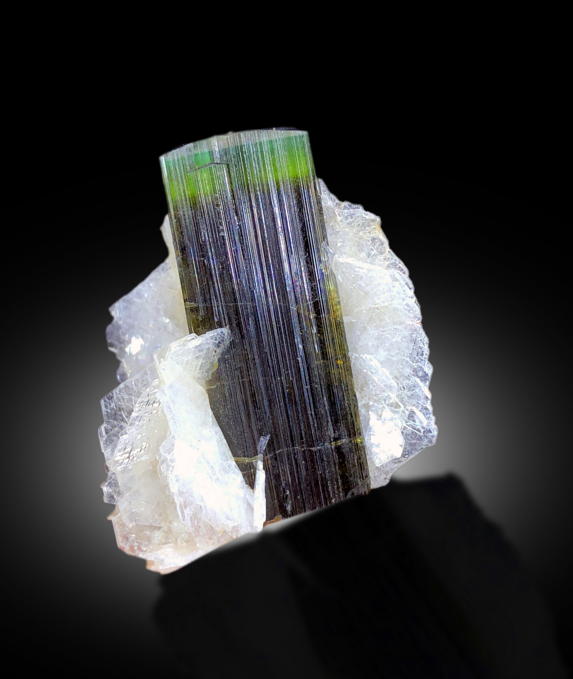 Closeup of tourmaline crystal green cap termination
Green cap tourmaline side view on cleavelandite albite