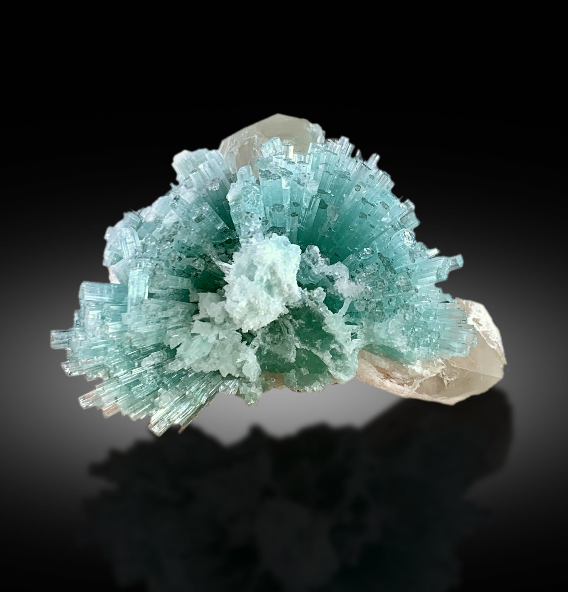 Tourmaline on Quartz mineral specimen