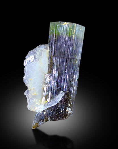 Collector grade elongated tourmaline from Pakistan
Tourmaline crystal lighting along prismatic length
