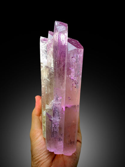 Collector grade kunzite specimen from Afghanistan
Kunzite crystal lighting and pleochroic color detail
