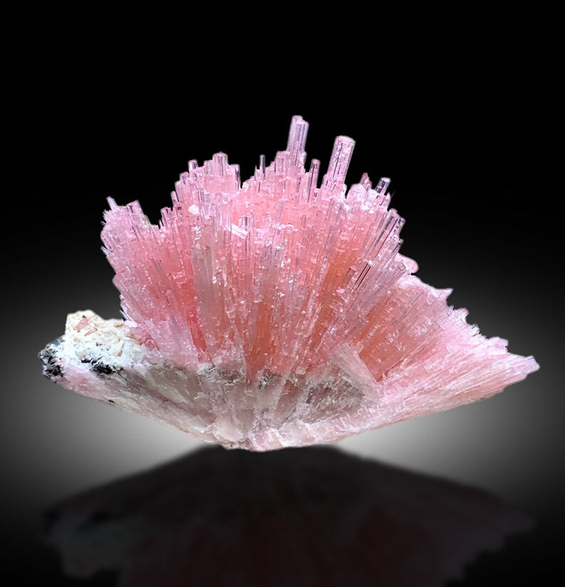 Collector grade pink tourmaline specimen from Pakistan
Tourmaline cluster lighting and color detail