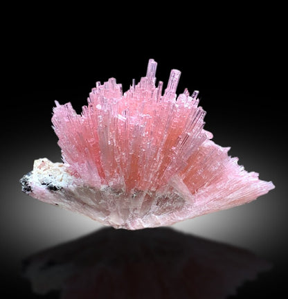 Collector grade pink tourmaline specimen from Pakistan
Tourmaline cluster lighting and color detail