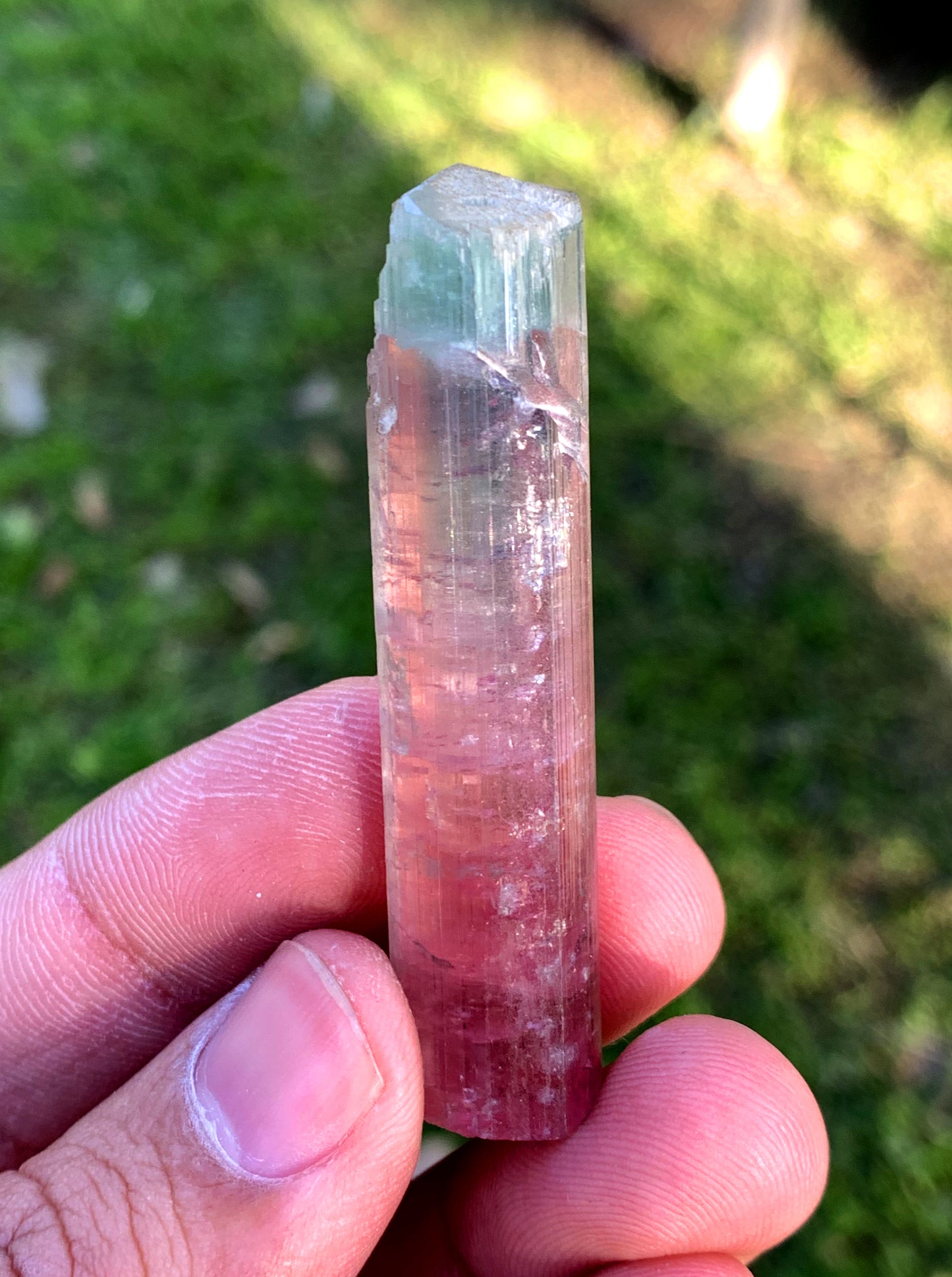 Cotton Candy Tourmaline crystal from Afghanistan
Natural tricolor Tourmaline crystal specimen
Pink green blue Tourmaline crystal