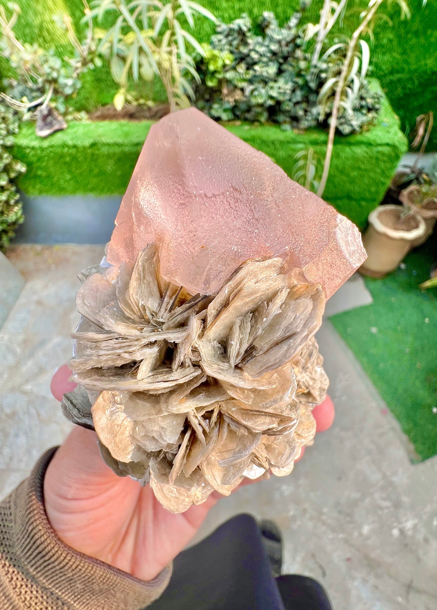 Pink Fluorite crystal on Mica, Fluorite Specimen from Pakistan, 355 Gram