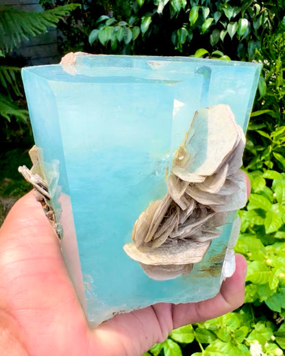 Aquamarine crystal with Muscovite Mica from Pakistan, 1433 gram
