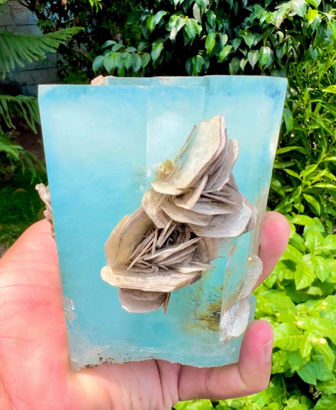 Aquamarine crystal with Muscovite Mica from Pakistan, 1433 gram