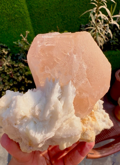 Morganite with Mica and Albite from Afghanistan, 699 gram