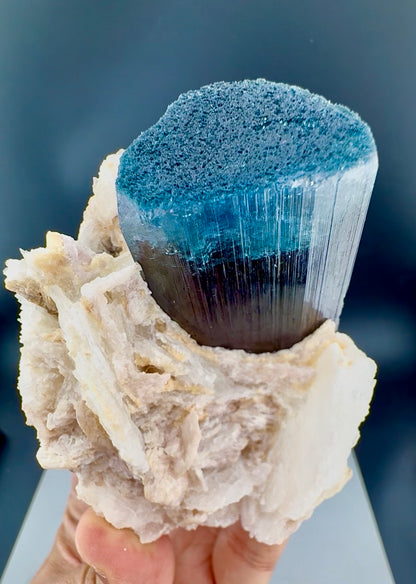 Blue Cap Tourmaline with Cleavlandite Albite from Afghanistan, 310 gran