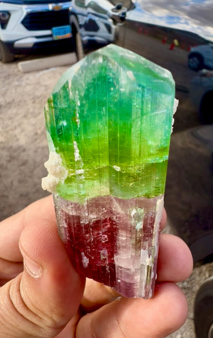 Watermelon Tourmaline Crystal with Lepidolite and Microlite from Paprok, 78 gram