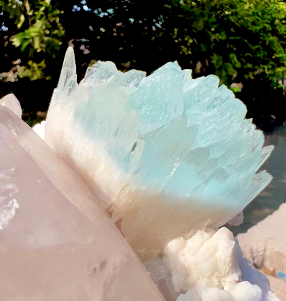 AquaMorganite crystal with Quartz and Albite from Pakistan, 1465 grams