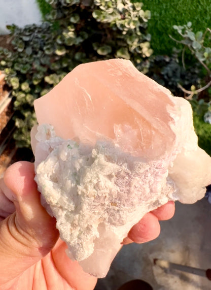 Morganite with Kunzite, Lepidolite and Quartz from Afghanistan, 154 gram