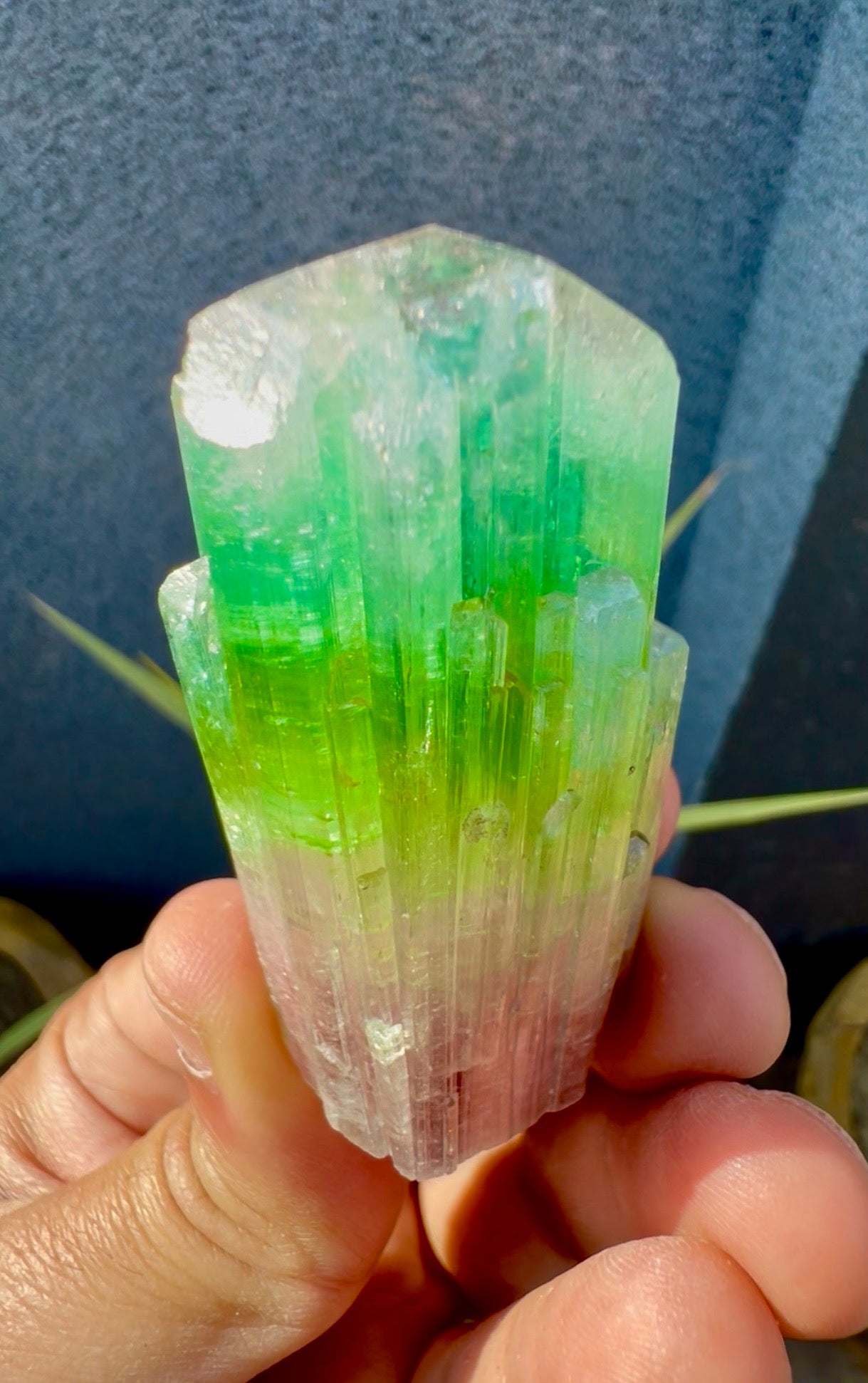 Multicolor Tourmaline Crystal from Paprok  - 76 gram