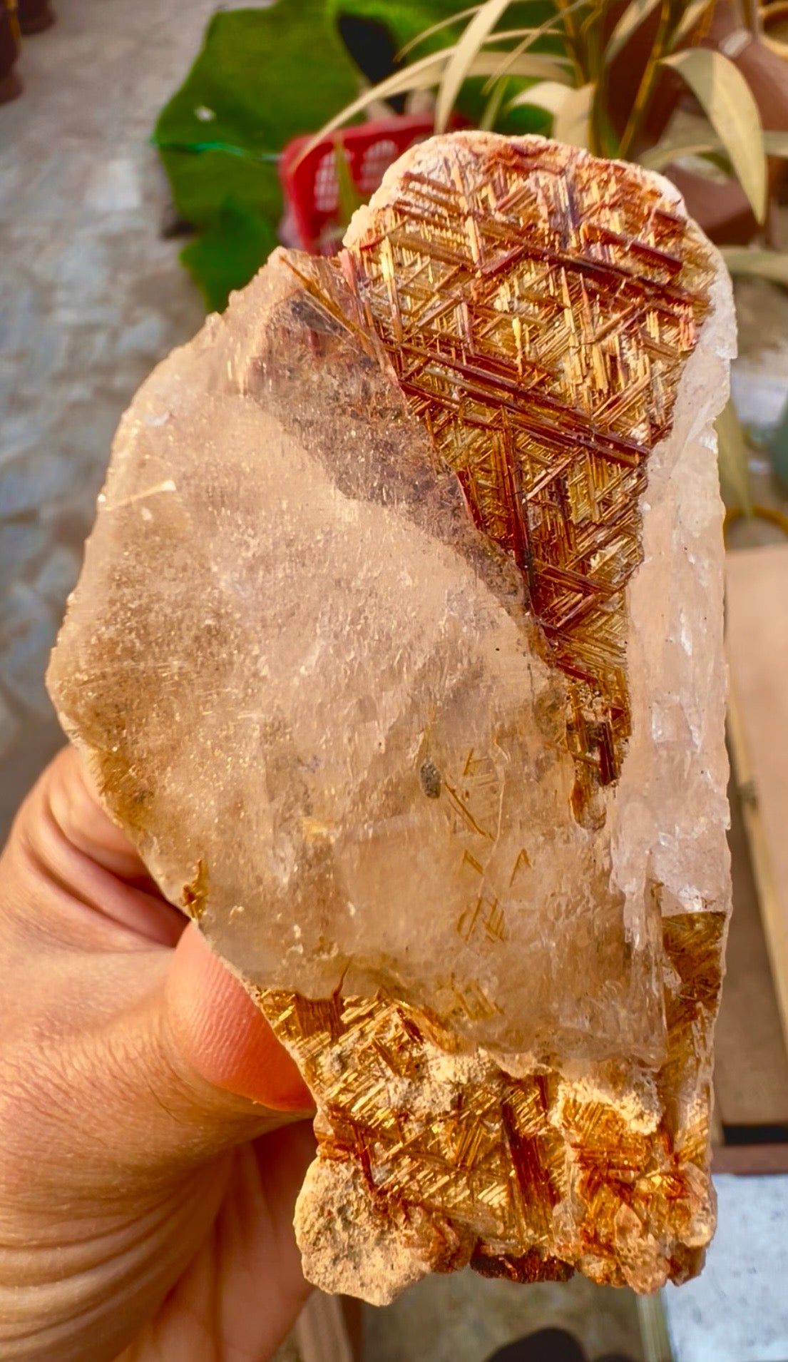 Sagenite Rutile on Quartz Crystal Specimen, Pakistan, 199 gram
