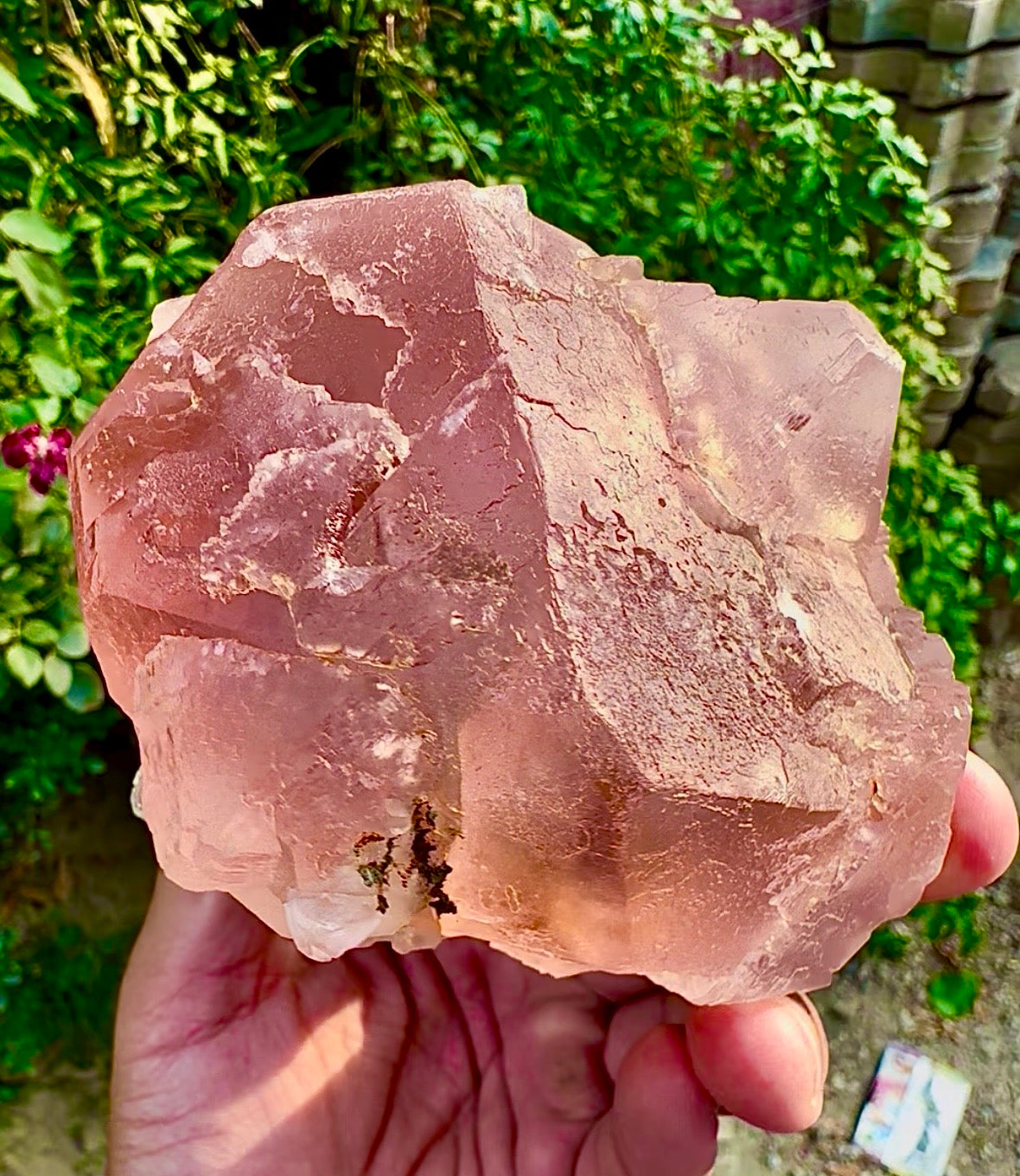 Pink Fluorite on Mica from Pakistan, 1127 gram