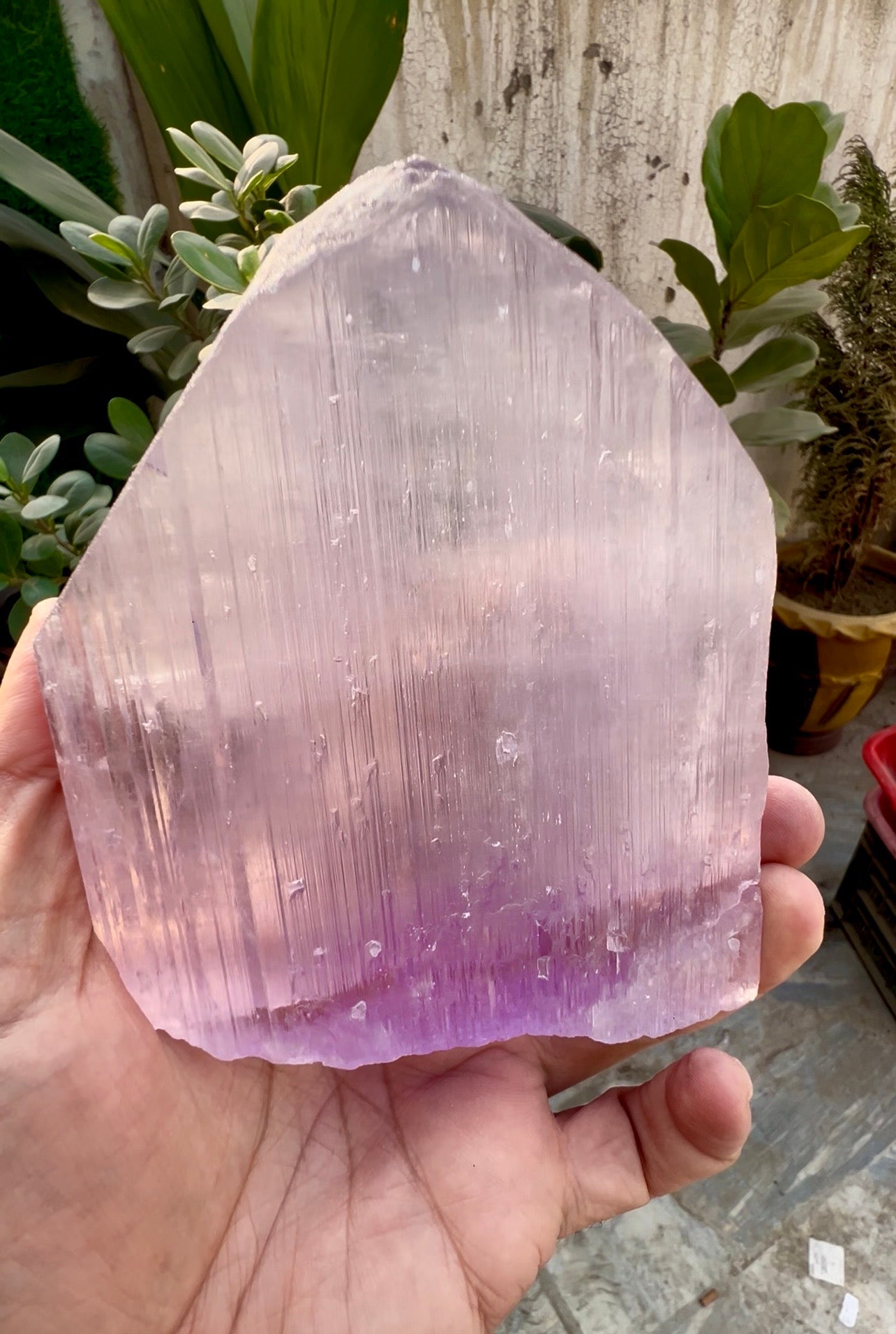 Pink Kunzite Crystal from Afghanistan, 854 gram