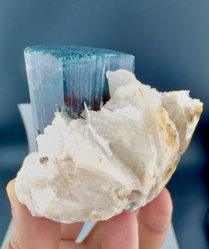 Blue Cap Tourmaline with Cleavlandite Albite from Afghanistan, 310 gran