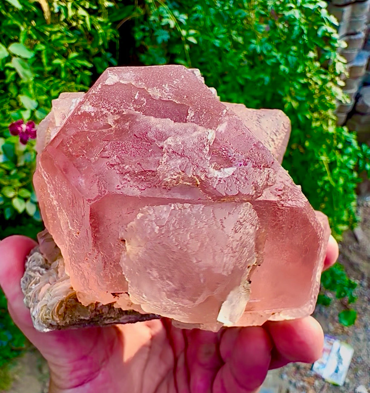 Pink Fluorite on Mica from Pakistan, 1127 gram