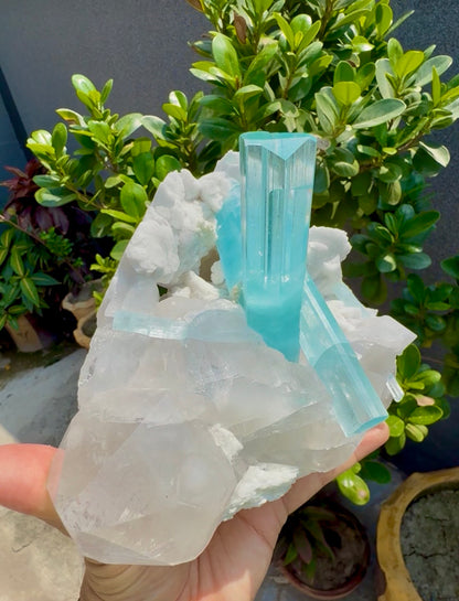 Museum Grade Aquamarine specimen with Quartz and Feldspar from Pakistan, 1696 gram