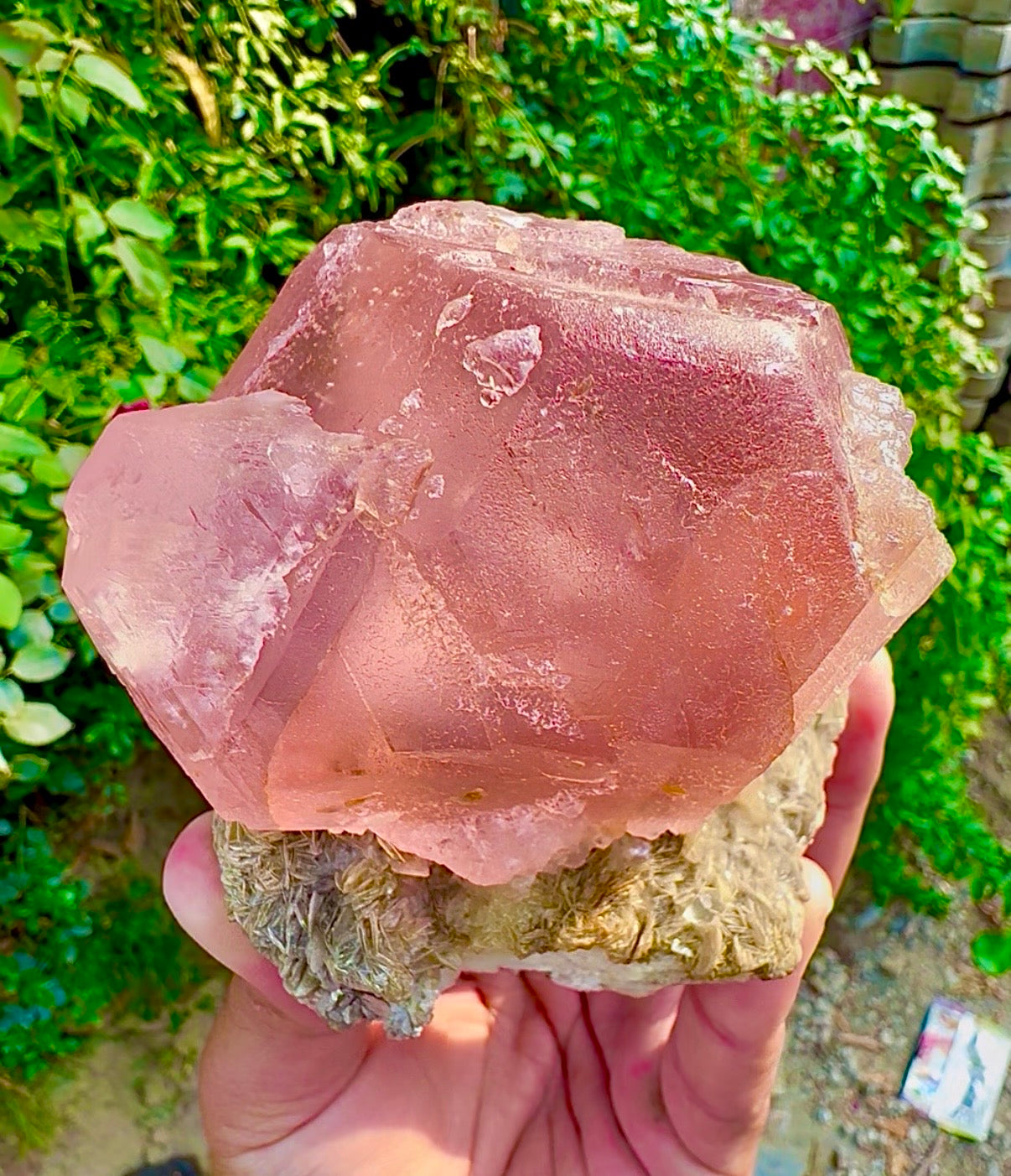Pink Fluorite on Mica from Pakistan, 1127 gram