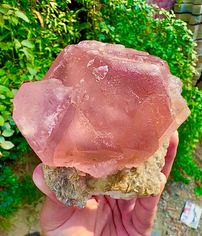 Pink Fluorite on Mica from Pakistan, 1127 gram