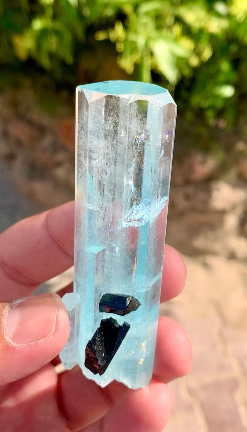 Aquamarine crystal with Schorl Tourmaline, 79 gram