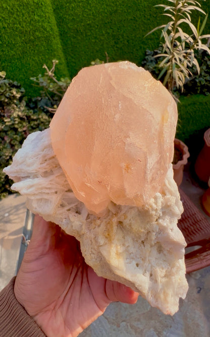Morganite with Mica and Albite from Afghanistan, 699 gram