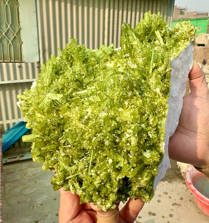 Green Tourmaline Crystals Cluster on matrix from Chapu Mine Pakistan, 3418 gram