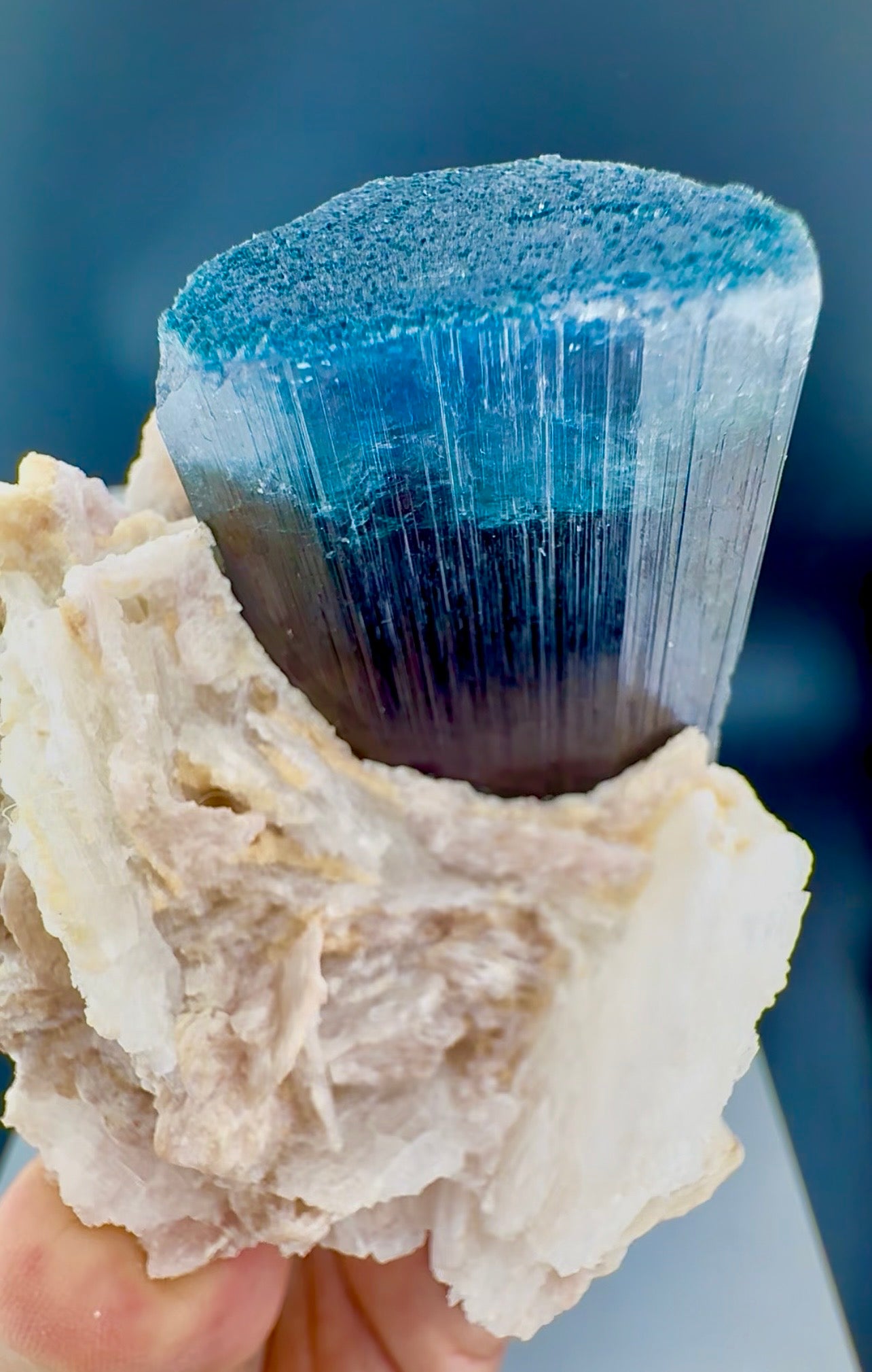 Blue Cap Tourmaline with Cleavlandite Albite from Afghanistan, 310 gran
