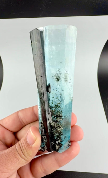 Aquamarine Crystal with Schorl from Pakistan, 160 Gram
