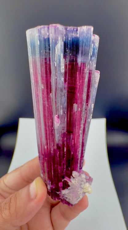 Blue Cap Tourmaline Crystal from Afghanistan, 213 gram