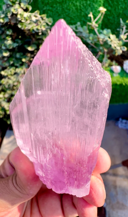 Pink Kunzite Crystal from Afghanistan, 160 gram