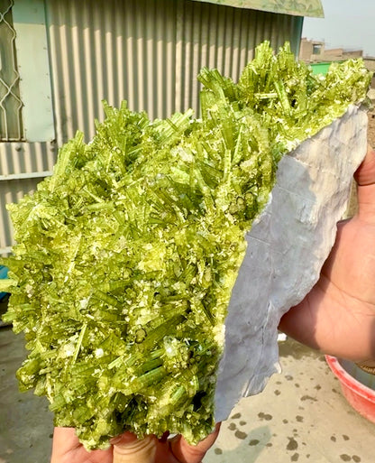 Green Tourmaline Crystals Cluster on matrix from Chapu Mine Pakistan, 3418 gram