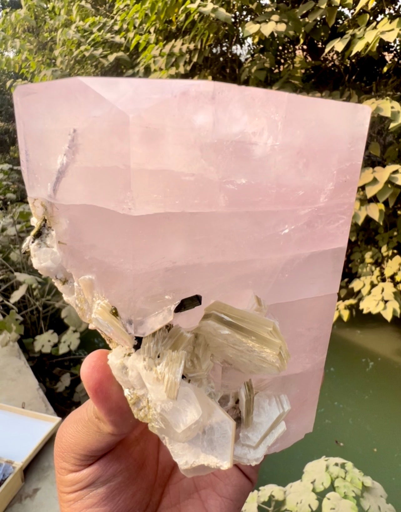 Pink Morganite crystal with Tourmalines and Mica from Pakistan, 2339 gram