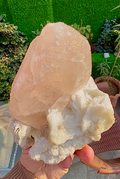 Morganite with Mica and Albite from Afghanistan, 699 gram