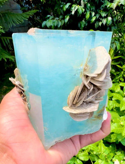 Aquamarine crystal with Muscovite Mica from Pakistan, 1433 gram