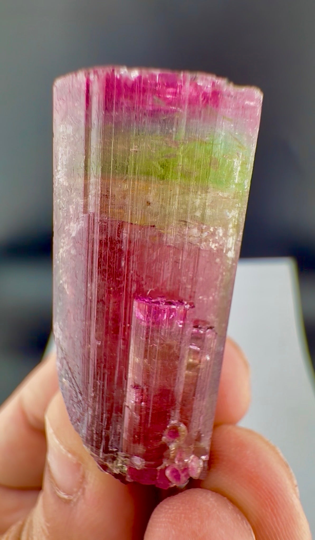 Rainbow Tourmaline crystal from Afghanistan, 125 carats