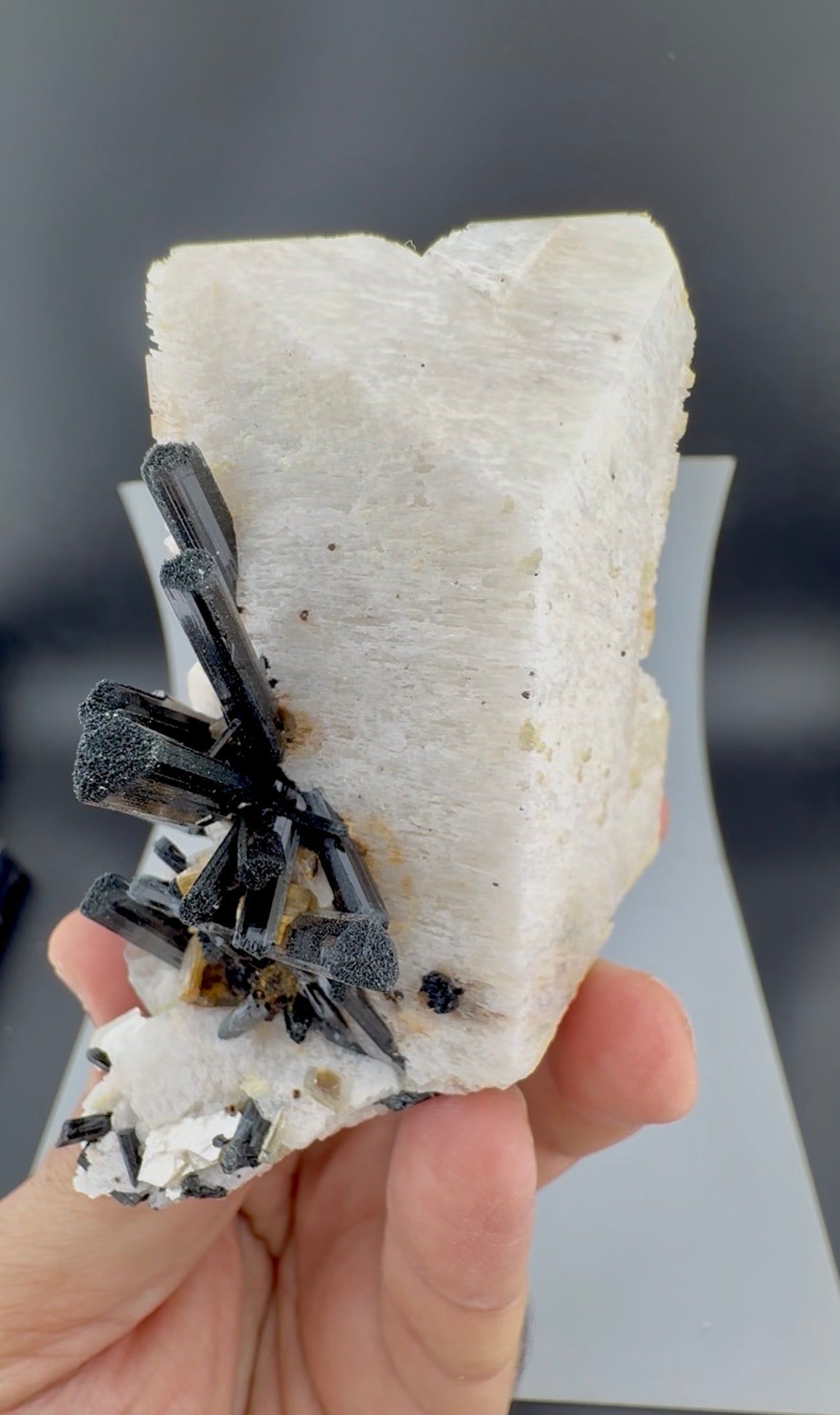 Schorl Tourmaline crystals on Microcline Feldspar from Pakistan, 186 gram