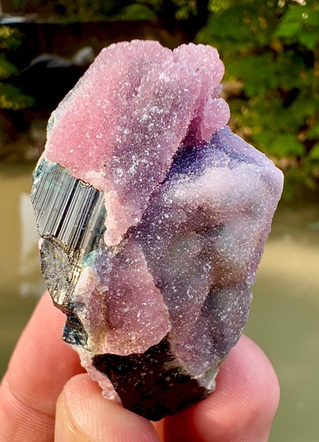 Crystallized Rose Quartz on Schorl Tourmaline from Afghanistan, 56 gram