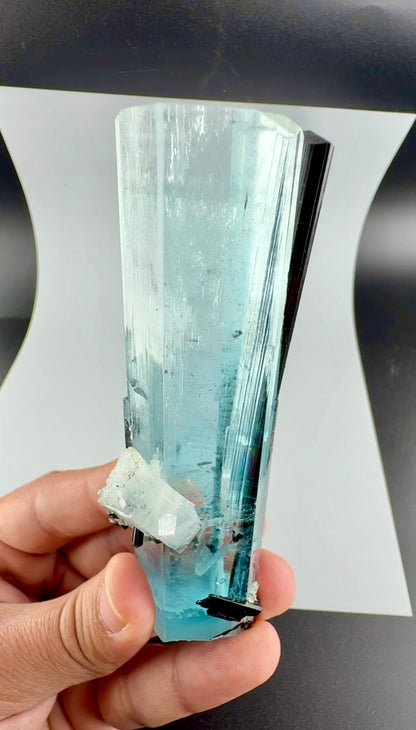 Aquamarine Crystal with Schorl from Pakistan, 160 Gram